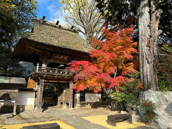 佛山寺