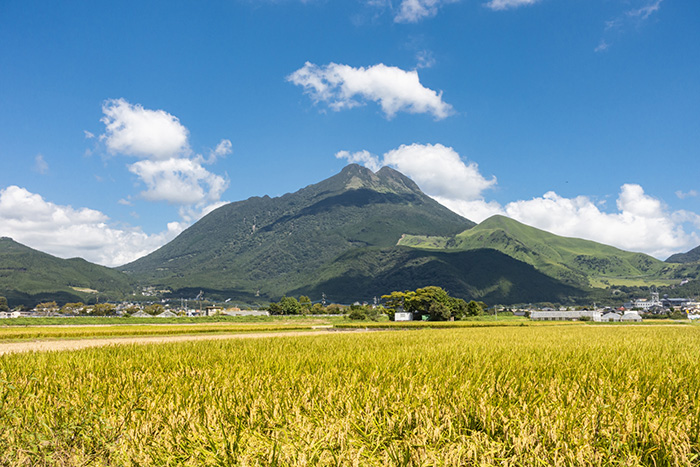 田園通